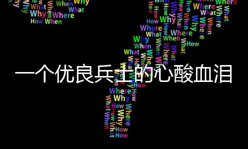 一个优良兵士的心酸血成史泪养